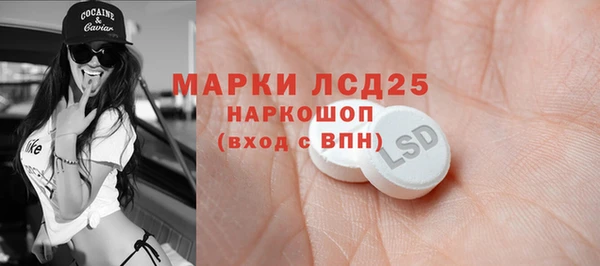 дживик Абинск