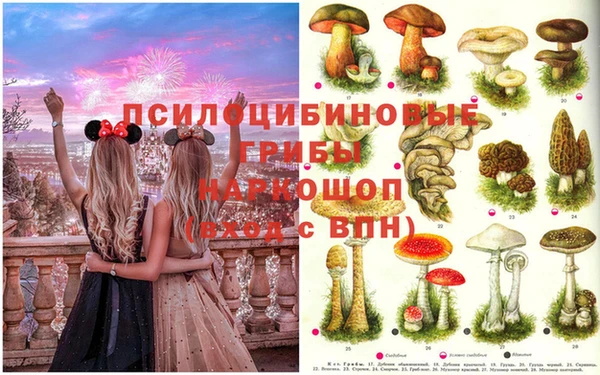 2c-b Абдулино