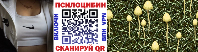 Галлюциногенные грибы мицелий  Северская 